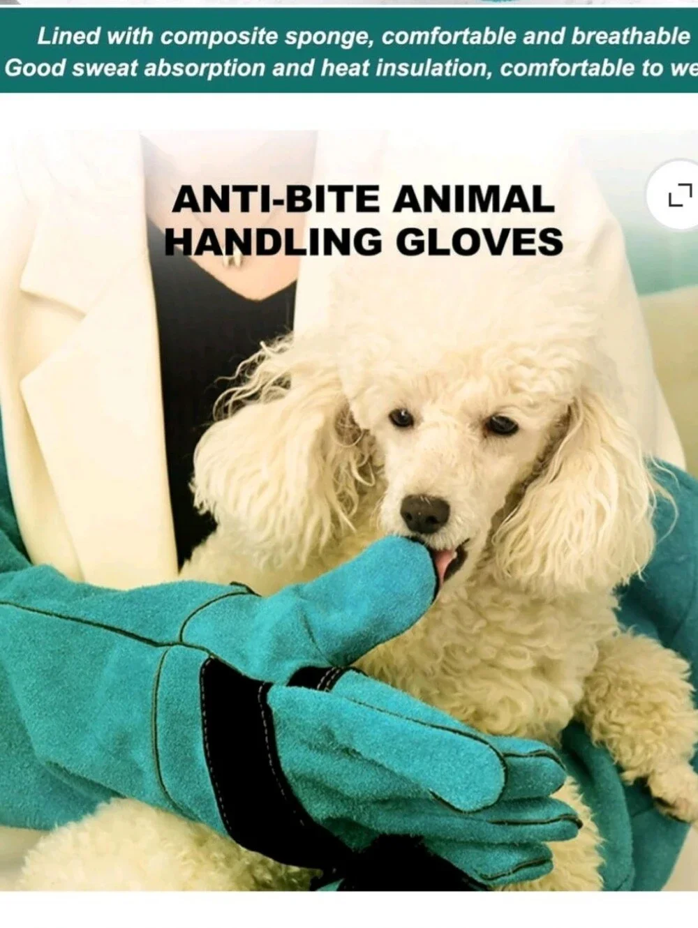 Bite-Resistant Cowhide Leather Gloves In Teal